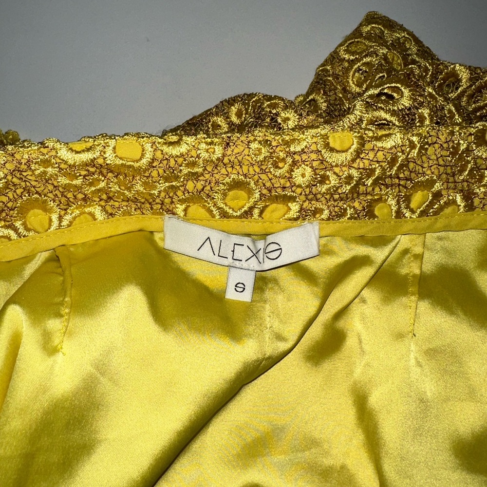 ALEXIS Intermix *Larissa* yellow floral crochet lace embroidered pencil skirt S - Picture 6 of 8